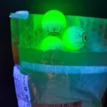 10pcs Glow in The Dark Eyeball Bouncy Balls - Halloween Horror Toys for Kids photo review