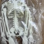 Movable Skeleton Halloween Decorations - Fake Human Skull Bones for Haunted House & Party Props photo review